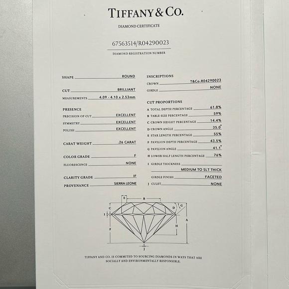 Tiffany & Co. Silver Solitaire Earrings - Picture 15 of 16